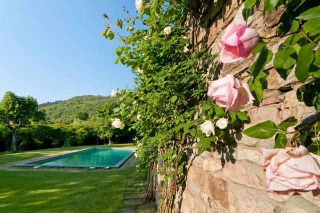 Villa Organi Vaiano  Esterno foto