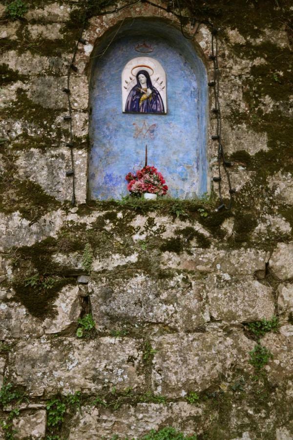 Villa Organi Vaiano  Esterno foto